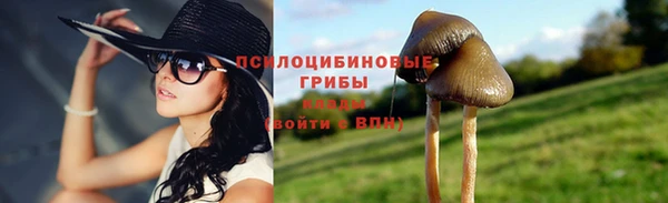 скорость Алексеевка