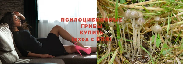 марки lsd Алзамай