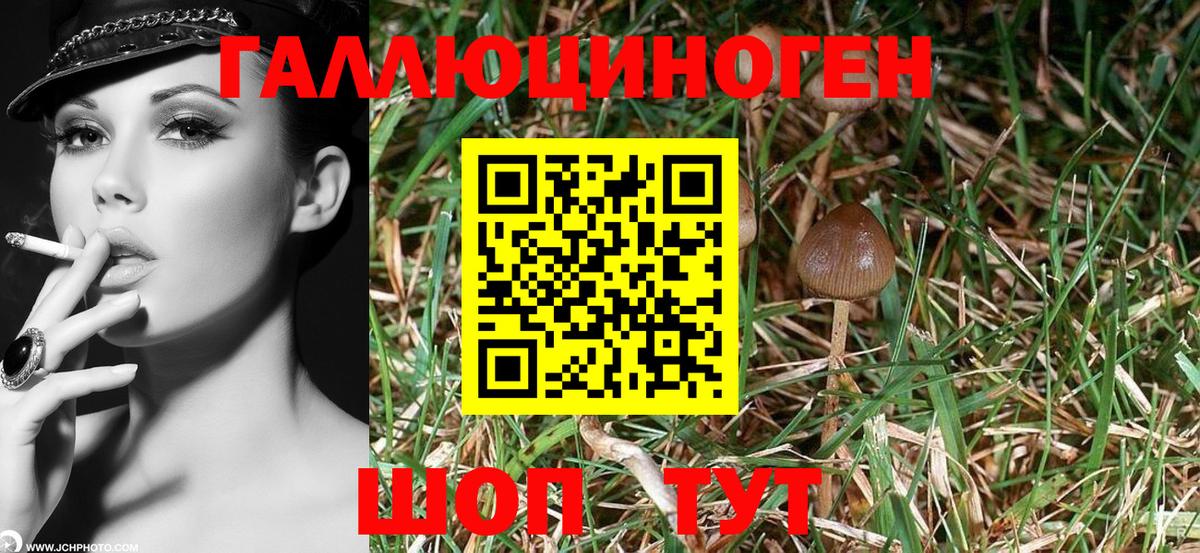 Галлюциногенные грибы Psilocybine cubensis  Вход с VPN  Шахты 