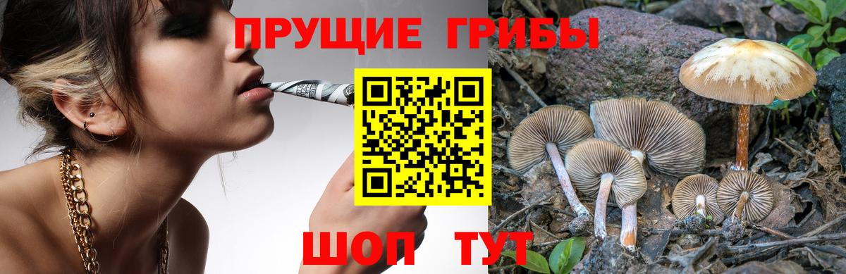 Псилоцибиновые грибы мухоморы Шахты